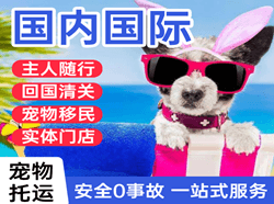 张家口航空货运国际宠物托运 【国